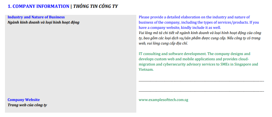 Sample Form Section 01: Company Information & Business Activity
