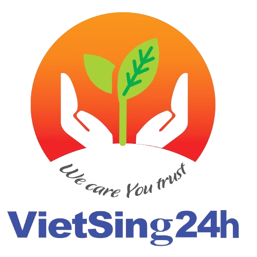 Vietsing24
